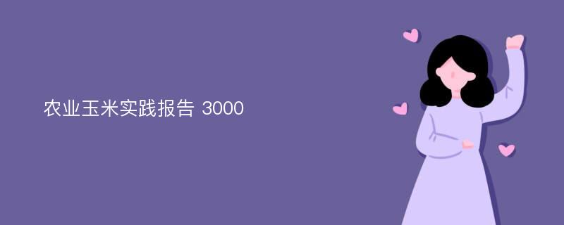 农业玉米实践报告 3000