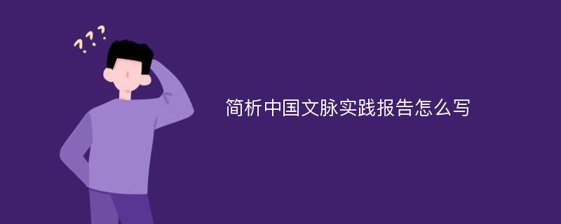 简析中国文脉实践报告怎么写