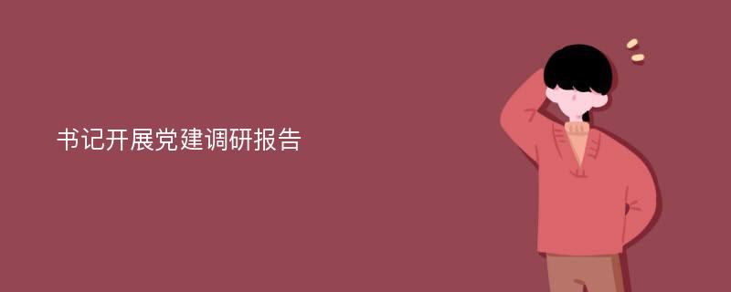 书记开展党建调研报告