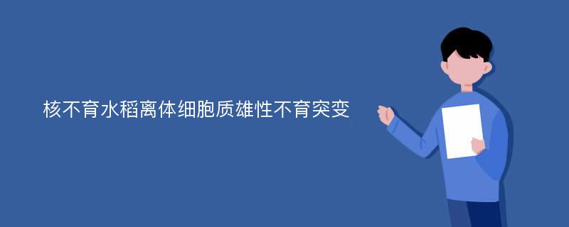 核不育水稻离体细胞质雄性不育突变