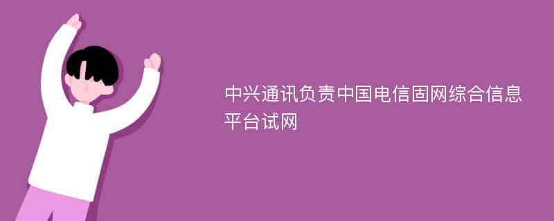 中兴通讯负责中国电信固网综合信息平台试网