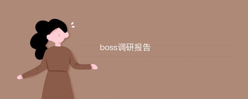 boss调研报告