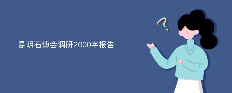 昆明石博会调研2000字报告