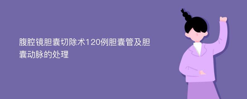 腹腔镜胆囊切除术120例胆囊管及胆囊动脉的处理